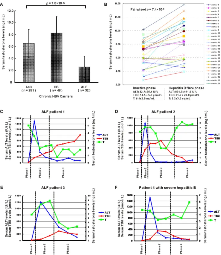 Figure 3. Fluctuations of serum testosterone levels at different phases of chronic hepatitis B