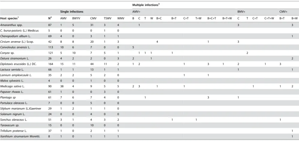 Table 1. Number of single and multiple infections with AMV, BWYV, CMV, TSWV and WMV in twenty one weed species