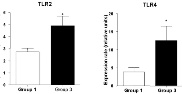 Figure 6. mRNA expression levels of TLR-2 and TLR-4 from distal jejunum were analysed by real-Time-PCR under basal and NEC conditions