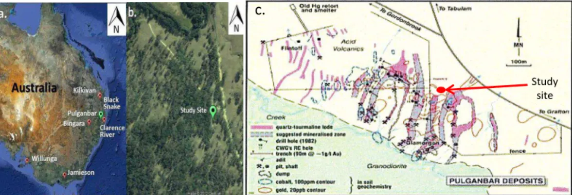 Fig. 1. Locations of pilot studies at Pulganbar, NSW. (a) Image from Google Earth maps 2010.