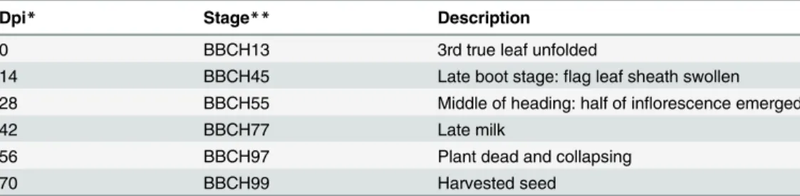 Table 1. Scale for phonological growth stages in Brachypodium distachyon.