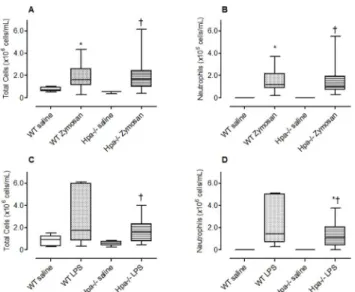 Fig 2. The effect of genetic modification of heparanase on neutrophil recruitment to the lung