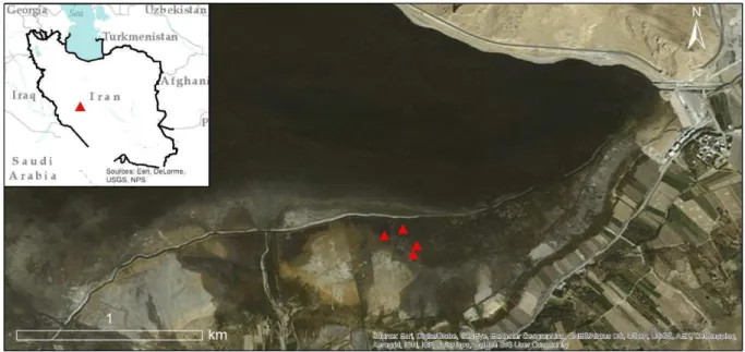 Figure 1. Main panel: peat sampling locations (red triangles) superposed on ESRI World Imagery of the  eastern end of Chaghakhor Wetland