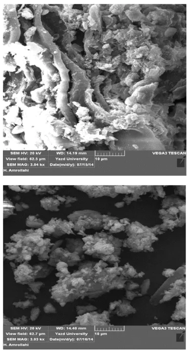 Figure  7  shows scanning electron micrographs  (SEM) of air-dried samples of untreated and treated  (10 % shredded tyre chips)  Chaghakhor  peat