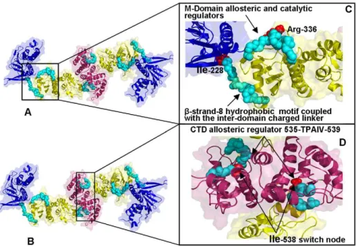 Figure 10. The Residue-Based Fluctuation Profiles of the HtpG Homologue. The NMSF residue profiles derived from PCA of all-atom MD simulations along the lowest frequency mode (A) and the second lowest mode (B)