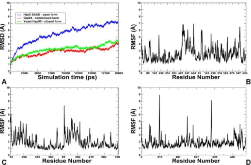 Figure 2. MD Simulations of the Hsp90 Structures. The results of all-atom 20 ns MD simulations are shown for three representative Hsp90 structures: a closed conformational state of yeast Hsp90 [54], a semi-closed conformation of the mammalian Grp94 homolog
