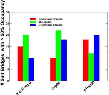 Figure 4. Hydrogen Bonding Networks in the Hsp90 Structures. Structural mapping of stable salt bridges obtained from MD simulations of the bacterial homologue HtpG solution structure (A); mammalian Grp94 homologue (B); and yeast Hsp90 (C)