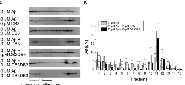 Fig 6. Effect of DB3 and DB3DB3 on different Aβ aggregation species. A) Analysis of Aβ(1–42) aggregation species with density gradient centrifugation and followed by analysis using silver-stained Tricine-SDS-PAGE to analyze the influence of DB3 and DB3DB3 