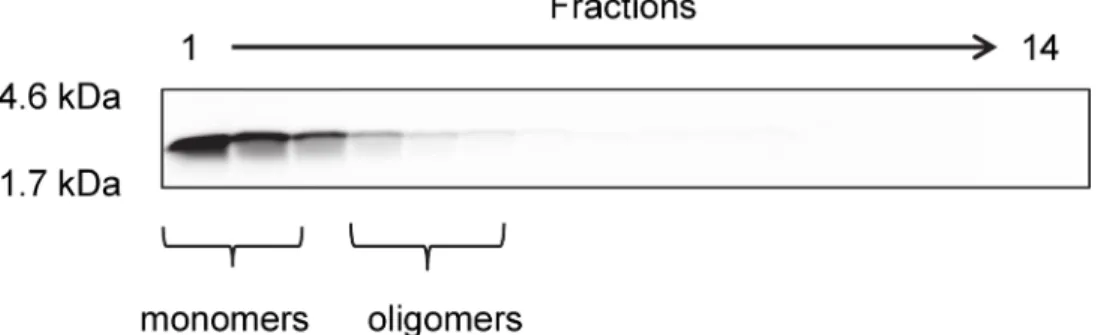 Fig 1. Aggregation state of monomeric Aβ(1–42) after 1 h incubation. For optimization of D3 with peptide microarrays, the peptide microarrays were incubated with 5 μM initially monomeric Aβ(1–42) for 1 h at room temperature