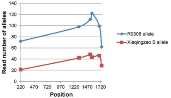 Figure 4. Example of a transcript showing allelic bias in Xieyou9308 at heading stage