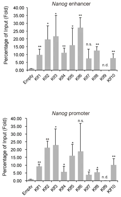 Fig 6. ChIP analysis of the binding of Klf to Nanog regulatory regions in mouse EpiSCs