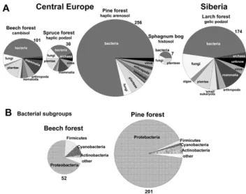Fig. 6. (A) Phylogenetic distribution of proteins identified from DOM leachates of different soil types