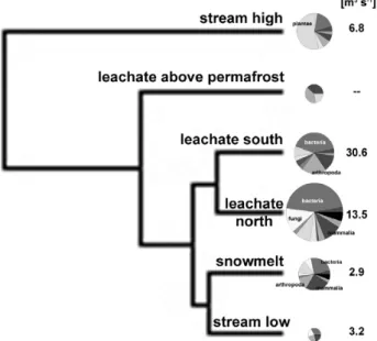 Fig. 7. Hierarchical clustering of proteomic fingerprints of DOM from different sources along the path of water through the soil.