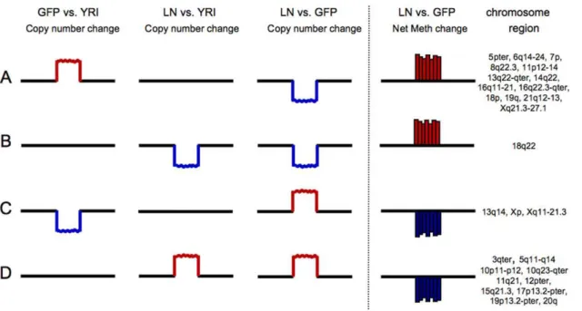 Figure 12. Four scenarios (A–D) are presented to explain the relationship between copy number and DNA methylation