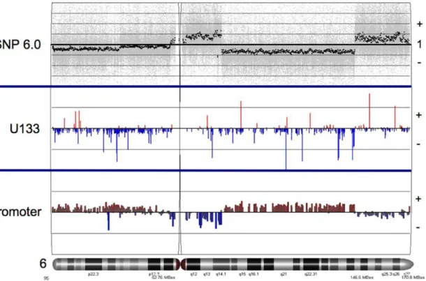 Figure 5. Representative multi-array alignment of data from the SNP/copy number variation (top), gene expression (middle) and promoter methylation (bottom) are shown for chromosome 6