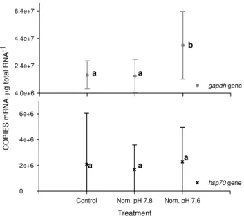 Fig. 5. Changes in hsp70 and gapdh gene expression in G. locusta maintained at different pH during the  experi-ment