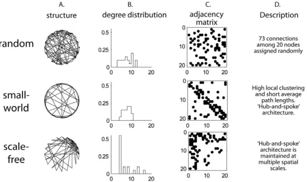 Figure 2. Properties of random and small-world graphs. Random, small-world and scale-free networks containing 20 nodes and 73 connections were generated by computer algorithms