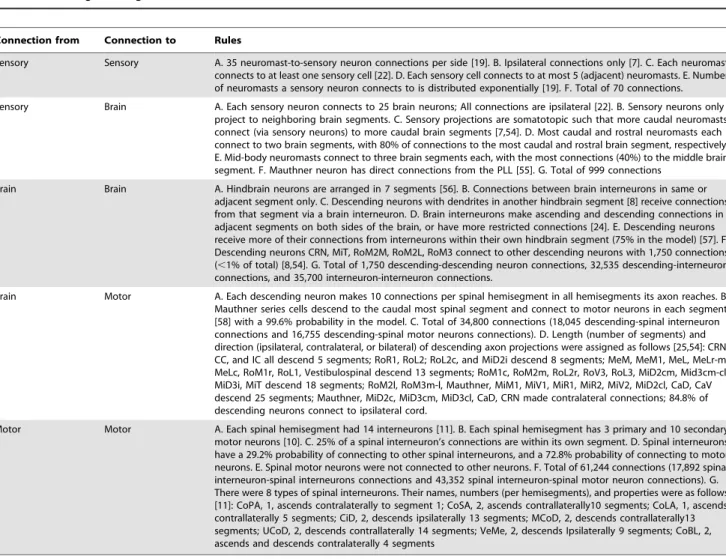 Table 1. Rules governing distribution of connections in the zebrafish model network.