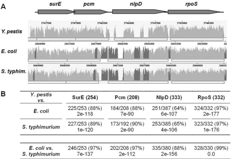 Figure 1. In silico analysis of the pcm genomic locus of Y. pestis . (A) A similarity plot representing the alignment of the Y
