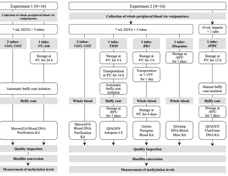 Fig 1. Workflow of the study design in two experiments.