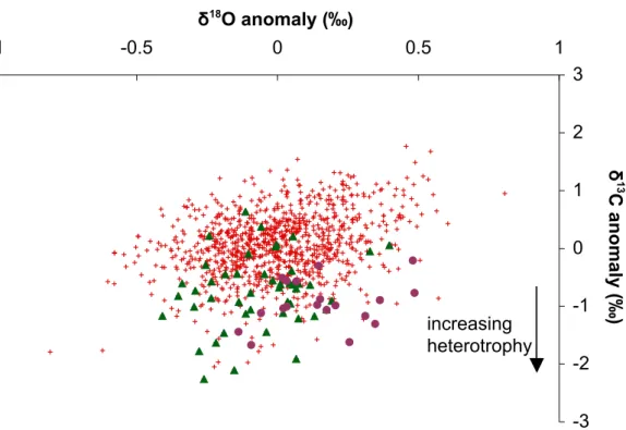 Fig. 3. Cross-plot of δ 13 C vs. δ 18 O for the Ile des Pins coral. Whole data (crosses) together with data corresponding to peaks attributed to Sp ¨orer (triangles) and Maunder minima (circles) are shown in anomaly with respect to the mean.