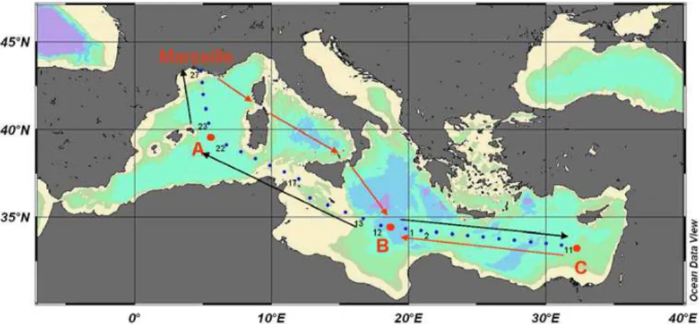 Fig. 1. Transect performed during the BOUM cruise (16 June–20 July 2008). Short duration (SD) stations are reported as blue dots while long duration (LD) stations sampled in the  cen-tre of anticyclonic eddies for a time period of three days are reported a