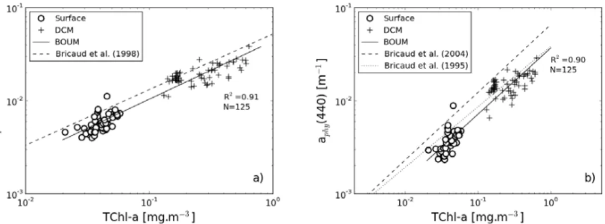 Fig. 5. Variations of the absorption coefficient of (a) particles, a p (440), and (b) phytoplankton, a phy (440), at 440 nm as a function of the TChl-a concentration for the surface layer (open  cir-cles), and at the DCM (crosses)