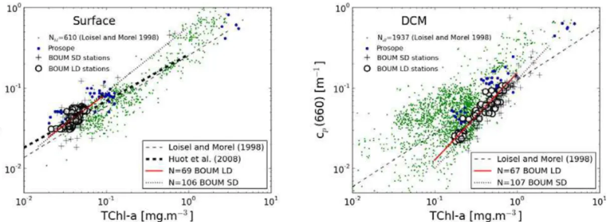 Fig. 6. Variations of the particulate attenuation coefficient, c p (660), as a function of the TChl-a concentration for (a) the surface layer, and (b) at the DCM
