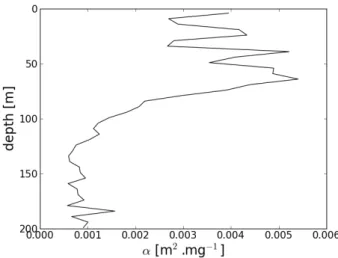 Fig. 9. Vertical evolution of the coefficient α (b bp = α TChl-a β ) calculated from a regression analysis performed at different depth of the water column between the b bp and TChl-a data values measured at the three long duration stations.