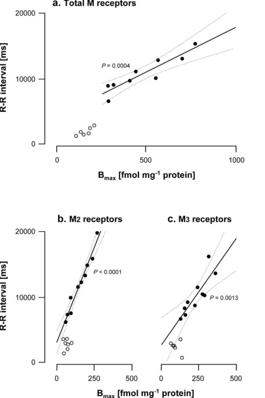 Figure 1. Correlations between R-R interval and total, M 2 and M 3 muscarinic receptor density in hearts from normal (N) and vagal hyperreactive (H) rabbits