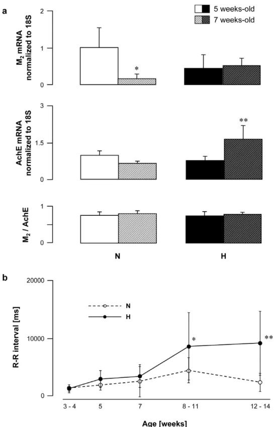 Figure 5. Age-dependent changes in R-R interval and M 2 muscarinic receptor and AchE gene expression in peripheral mononuclear white blood cells from normal (N) and vagal hyperreactive (H) rabbits