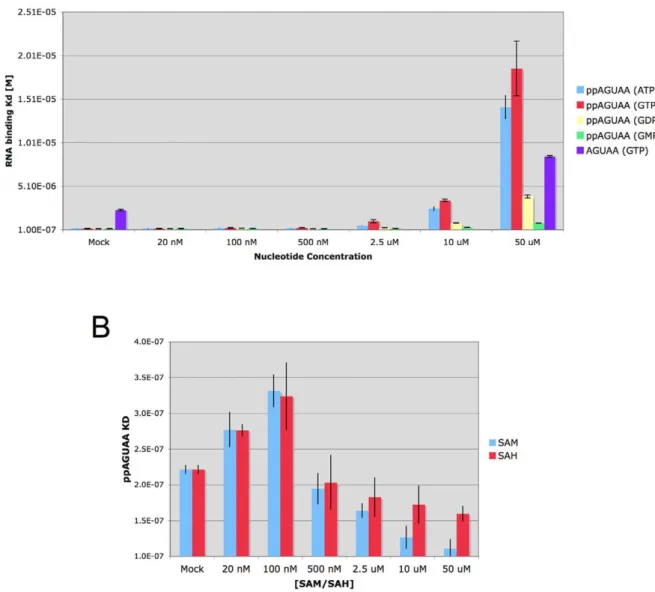 Figure 4. Effects of capping enzyme ligands on RNA binding. A) Effect of purine nucleotides on ppAGUAA-FAM and AGUAA-FAM RNA binding