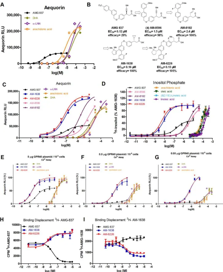 Figure 1. In vitro characterization of AM-1638 and AM-6226 and comparison to AMG 837. (A) Aequorin Ca 2+ assay comparing AMG 837 to natural fatty acid ligands DHA, a-LNN and arachidonic acid