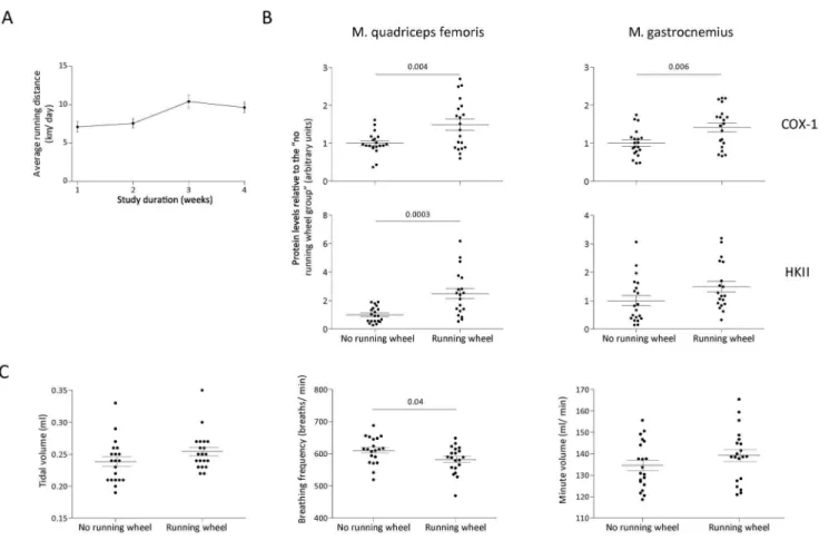 Figure 3. Effect of exercise on symptom severity score and bacterial load in the lung following intranasal inoculation with P.