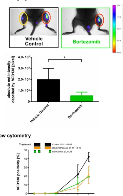 Figure 5.  A. Chemosensitivity of L363 cells in NSG against different antimyeloma agents determined by flow cytometry