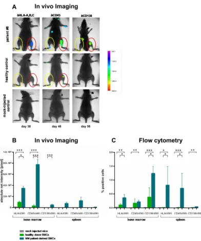 Figure  4.    Engraftment  of  MM  patient  vs.  healthy  donor-derived  BM  cells  in  NSG  and  in  comparison  to  mock-injected controls determined by fluorescence-based IVI and flow cytometry