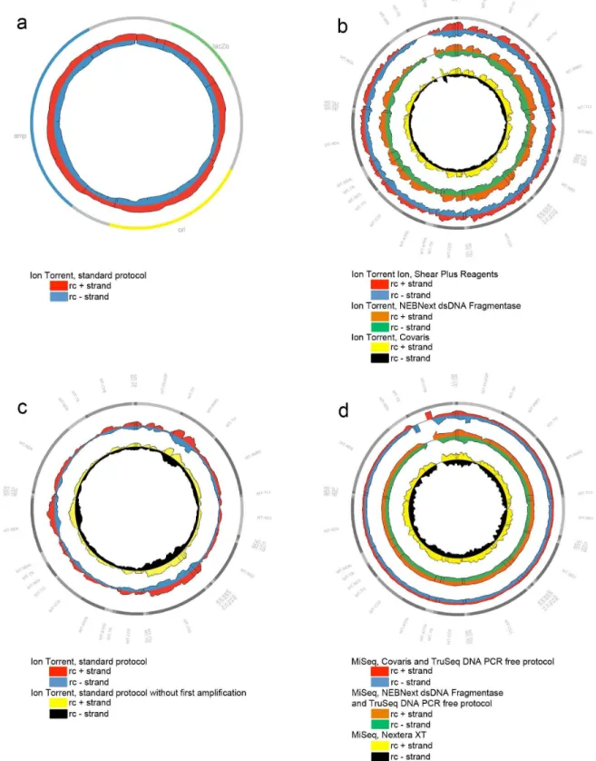 Figure 1. Genome Coverage plots. Representation of the MPS relative coverage of both strands (rc+: relative coverage of the plus strand, rc-: