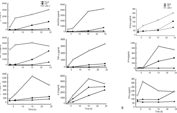Figure 2. Effect of M2-2 protein deletion on cytokine, chemokine, and IFN secretion. moDCs were infected with hMPV, either WT or DM-2, and harvested at different time points p.i