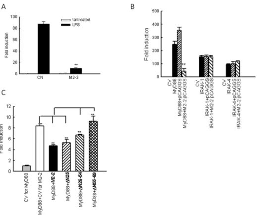 Figure 4. M2-2 inhibits MyD88-mediated signaling. (A) M2-2 in suppresses TLR-4 signaling