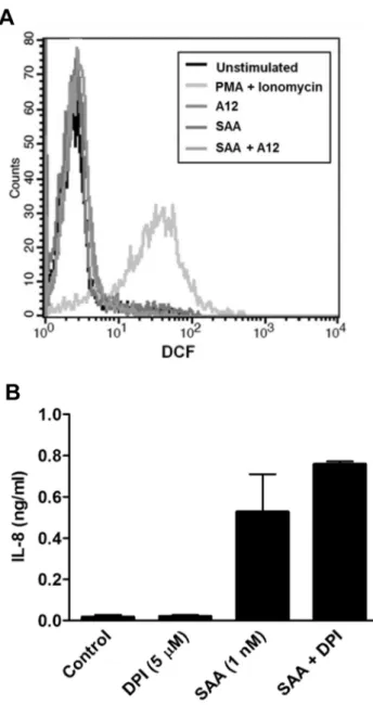 Figure 8. S100A12 did not alter total phosphatase activity or IL-10 mRNA induction. (A) pNPP phosphatase assay using THP-1 cells lysates treated with SAA (1 nM) 6 S100A12 (0.5 nM), or LPS (1 mg/