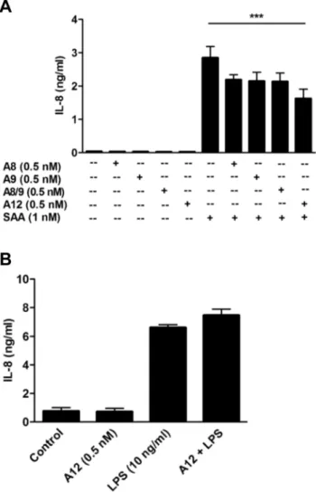 Figure 2. Suppression of SAA-induced IL-8 was specific to S100A12, and S100A12 did not reduce LPS-induced IL-8