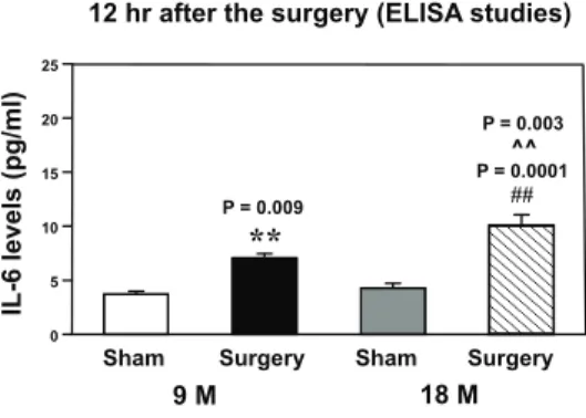 Figure 3. Peripheral surgical wounding increases the levels of Iba1 positive cells in the mouse hippocampus