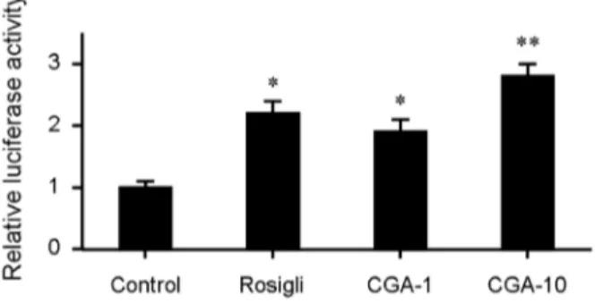 Figure 9. Chlorogenic acid (CGA) metabolites-containing serum from CGA-treated normal mice decreases lipid accumulation and stimulates cholesterol efflux from RAW264.7 cells