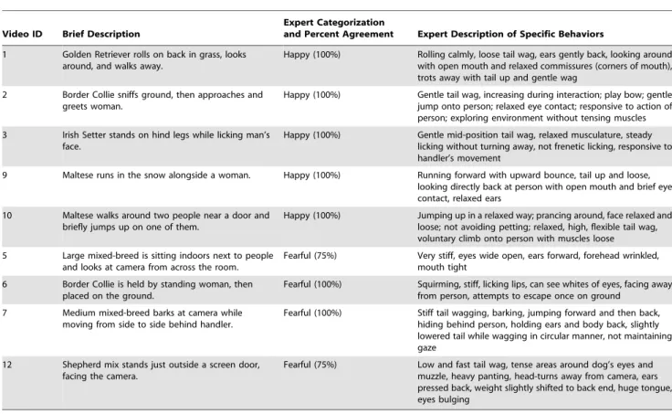 Table 3. Descriptions of Video Stimuli.