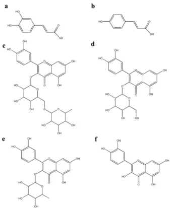 Figure 1. Chemical structures of caffeic acid (a), p-coumaric acid (b), rutin or  quercetin 3-rutinoside  (c), isoquercetin or quercetin 3-glucoside (d), quercitrin or quercetin  rhamno-side (e), and quercetin (f).