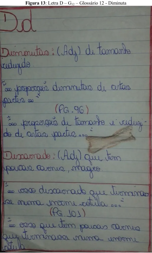 Figura 13 : Letra D – G 12  – Glossário 12 - Diminuta 
