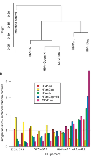 Figure 5. Effects of Gag Proteins on Integration Targeting