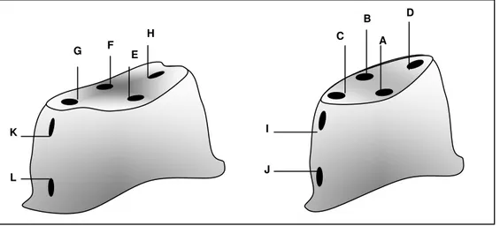 Figura  3.  Desenho  esquemático  dos  pontos  de  referência  em  orifício  para medição em microscópio comparador