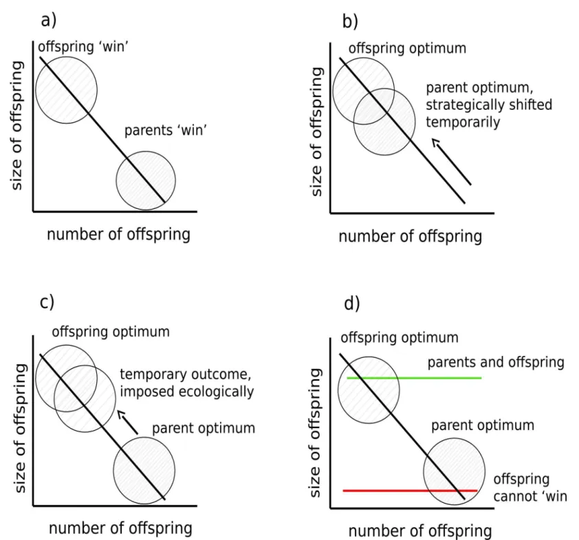 Fig 1. Parent-offspring conflict over the trade-off between offspring size and number