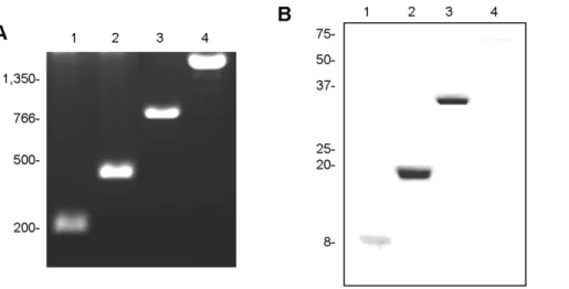 Table 2. Comparative analysis of the diagnostic performance of four different antigens in ELISA.